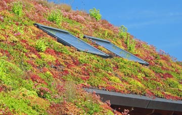 Kirby Hill living roof systems