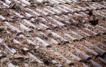 Kirby Hill roof cleaning companies